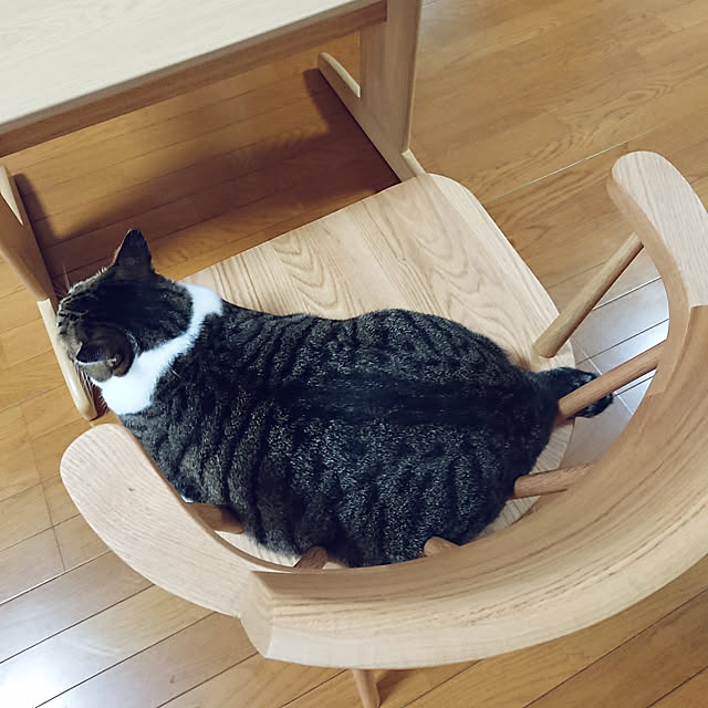 nachiさんの実例写真