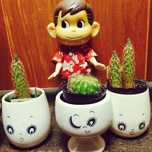 kopandaさんの実例写真