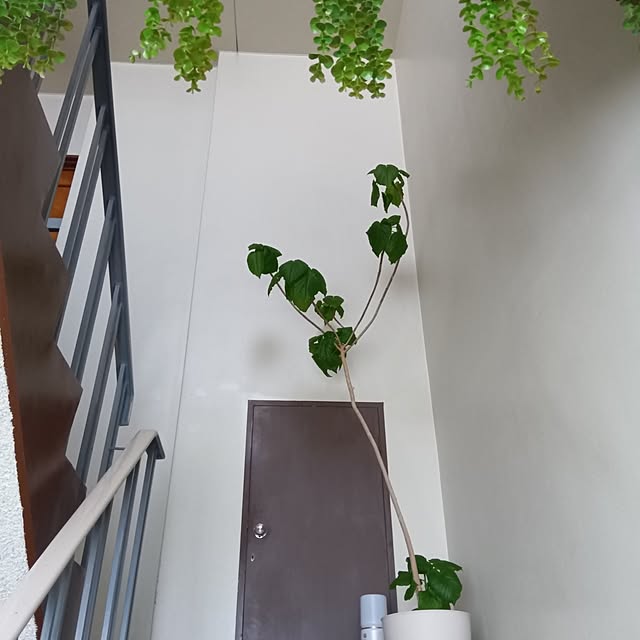 mikeさんの実例写真