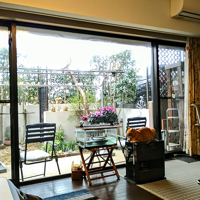 okyosan101さんの実例写真