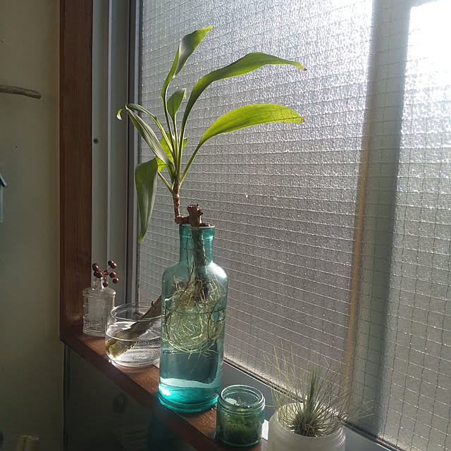 microさんの実例写真