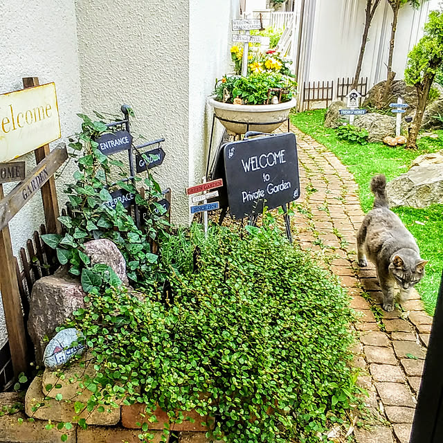naoporonさんの実例写真