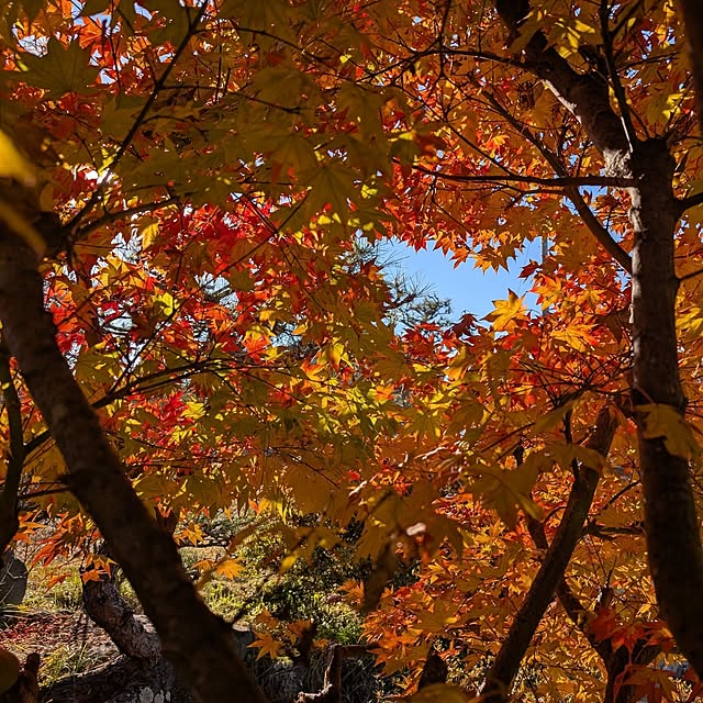 mill_0303さんの部屋