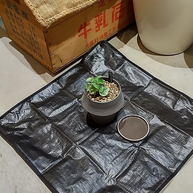 t.yumiさんの部屋