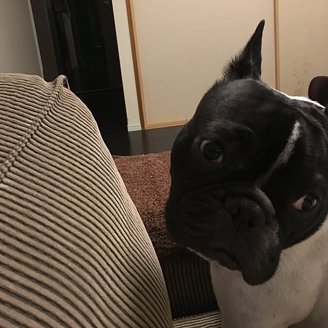 mahalonさんの実例写真