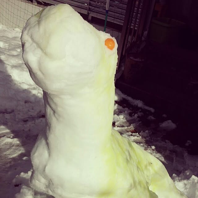 Sukeさんの実例写真