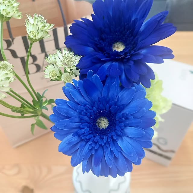 cafe0415hさんの部屋