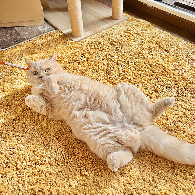 naokoさんの部屋