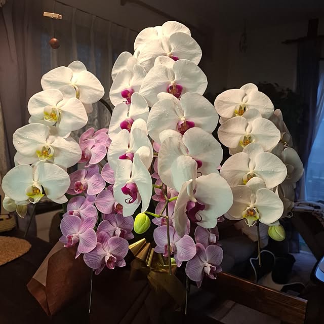 midoriさんの部屋