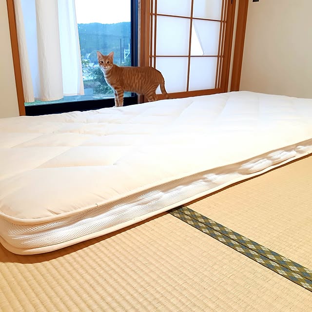 m.m.mさんの実例写真