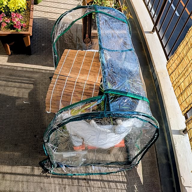 mi-saさんの部屋