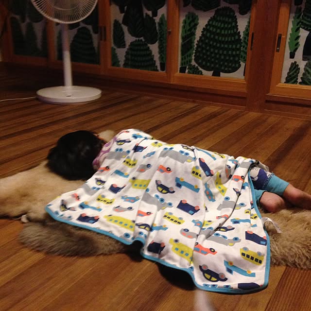 ramさんの実例写真