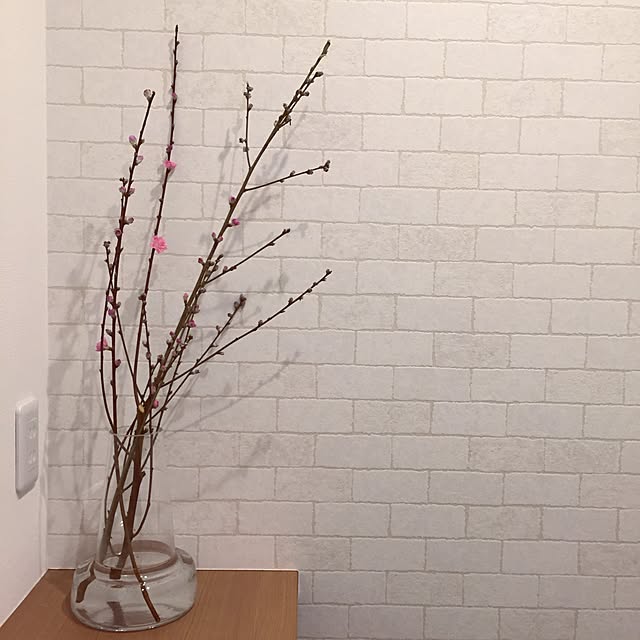 Azusaさんの実例写真