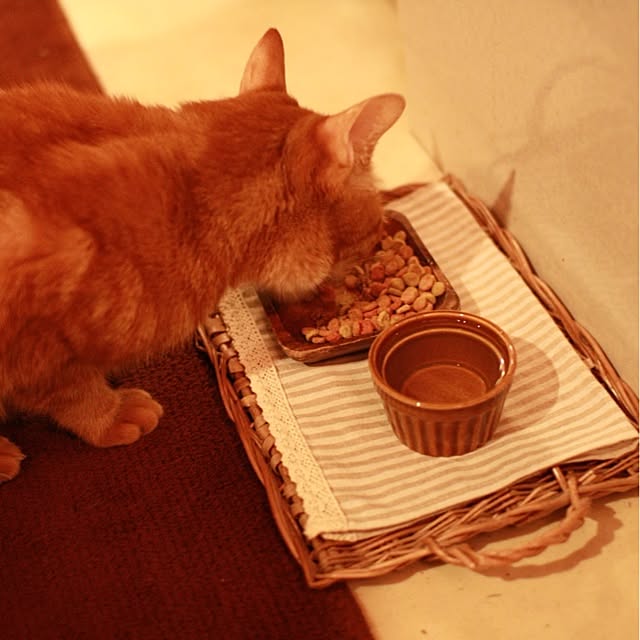 Junさんの実例写真