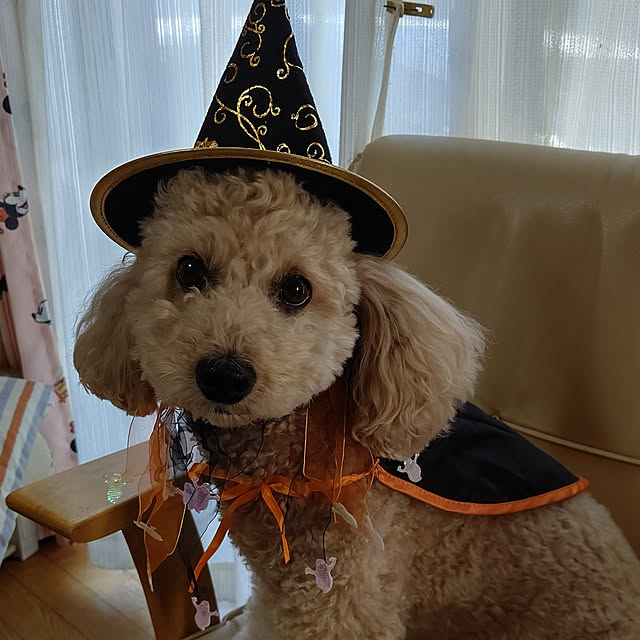 yumirinさんの実例写真