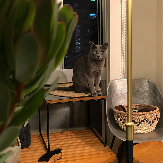 tomokoさんの実例写真