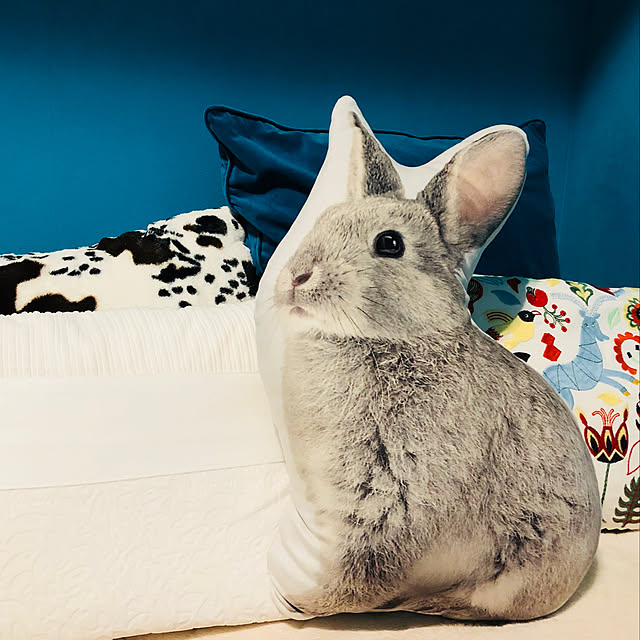 jolnoさんの実例写真