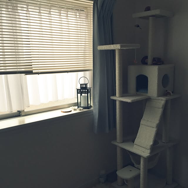 meloさんの実例写真