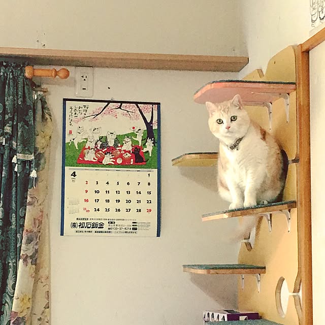 Watanabejunpilさんの実例写真