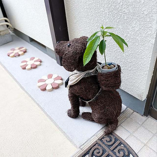 minu5656さんの実例写真