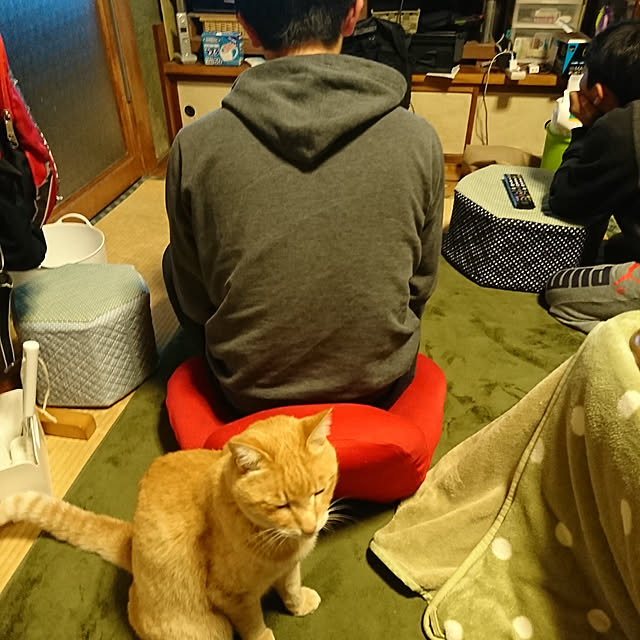 keiさんの実例写真