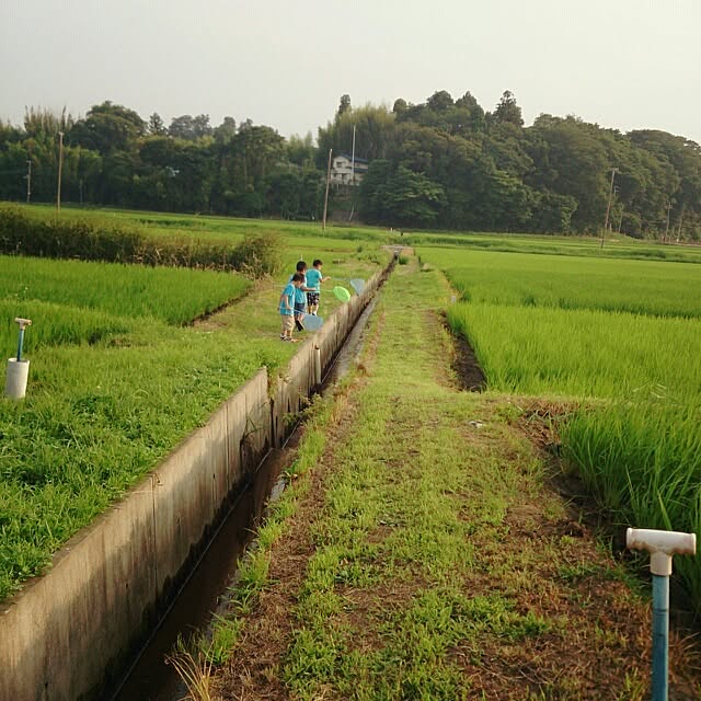 urchinさんの実例写真