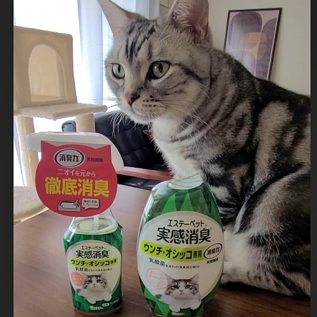 lovepeaceさんの部屋