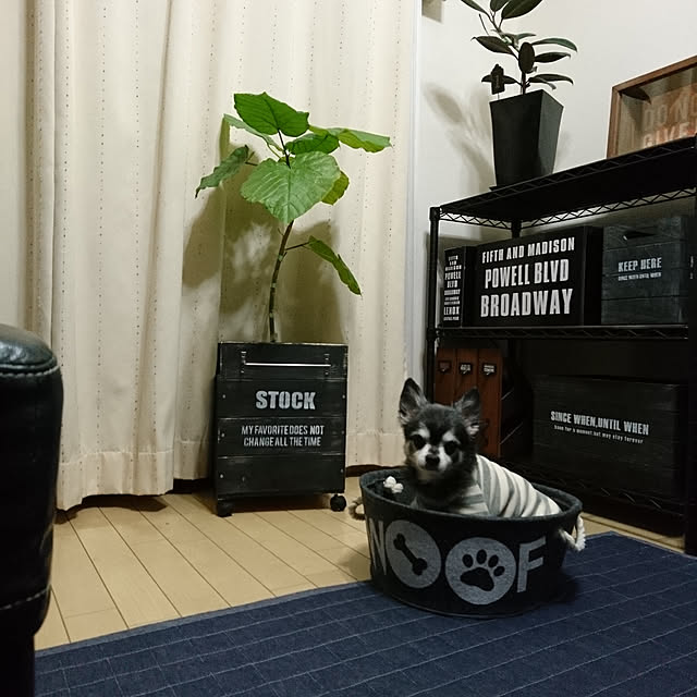 lovepeaceさんの実例写真