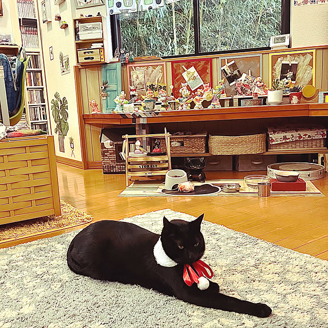jijiさんの実例写真