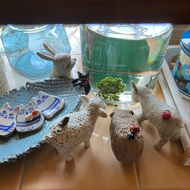 mohhaさんの実例写真
