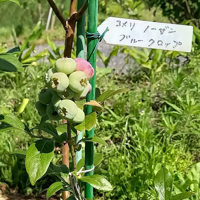civicglさんの部屋