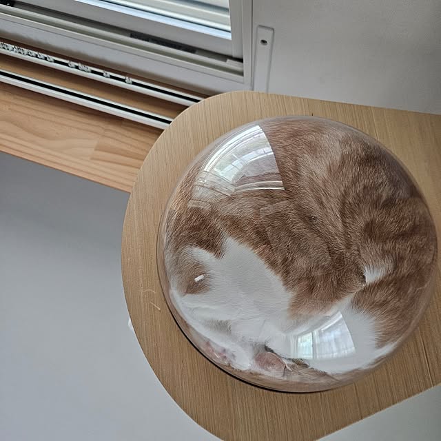 koyurizuさんの部屋