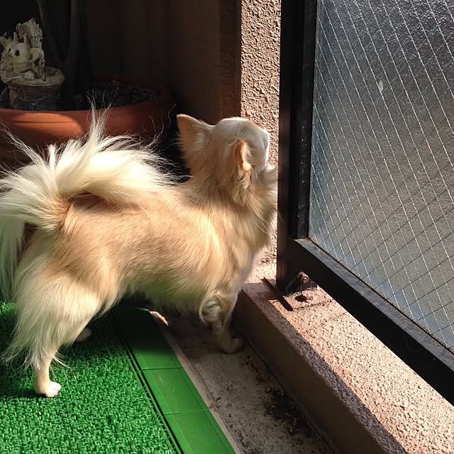rosemaryさんの実例写真