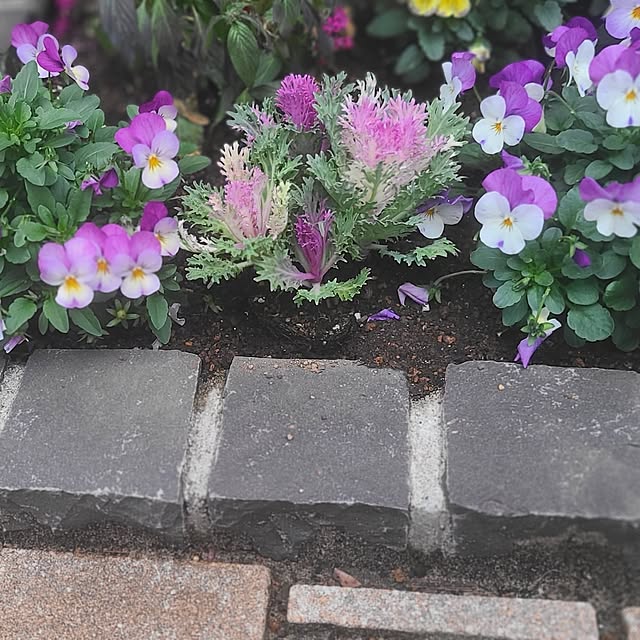 yumi.grandsaisonさんの部屋