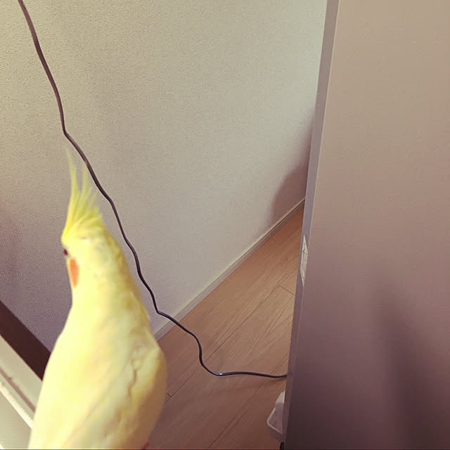 macaronさんの実例写真