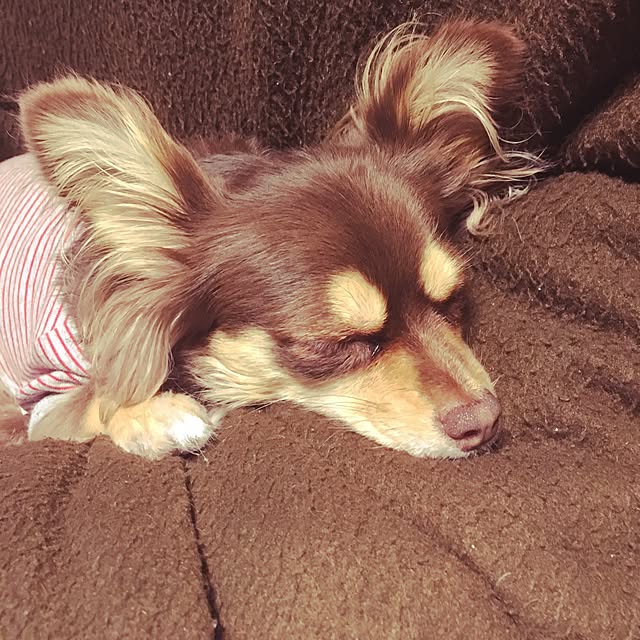 Kumさんの実例写真