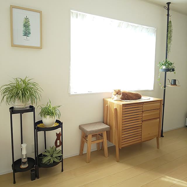 ayamameさんの実例写真