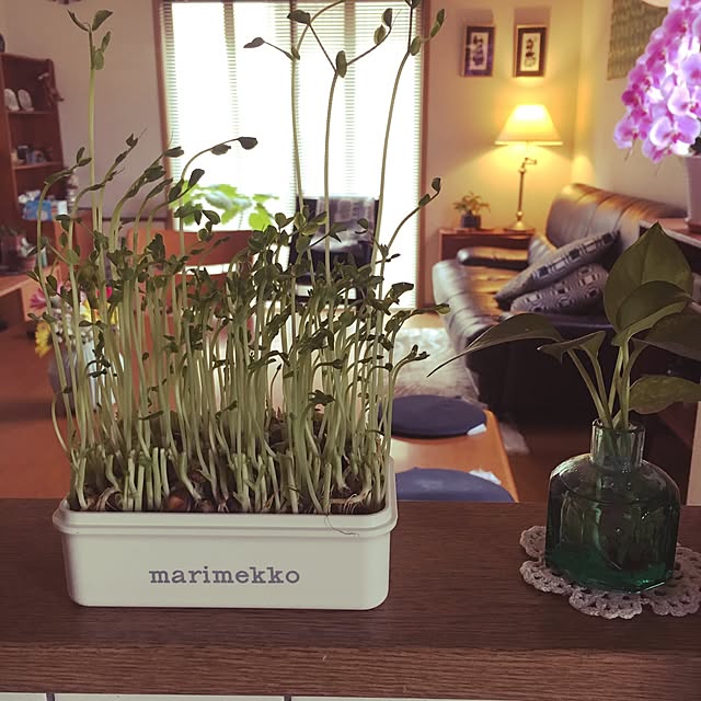 tomoさんの実例写真