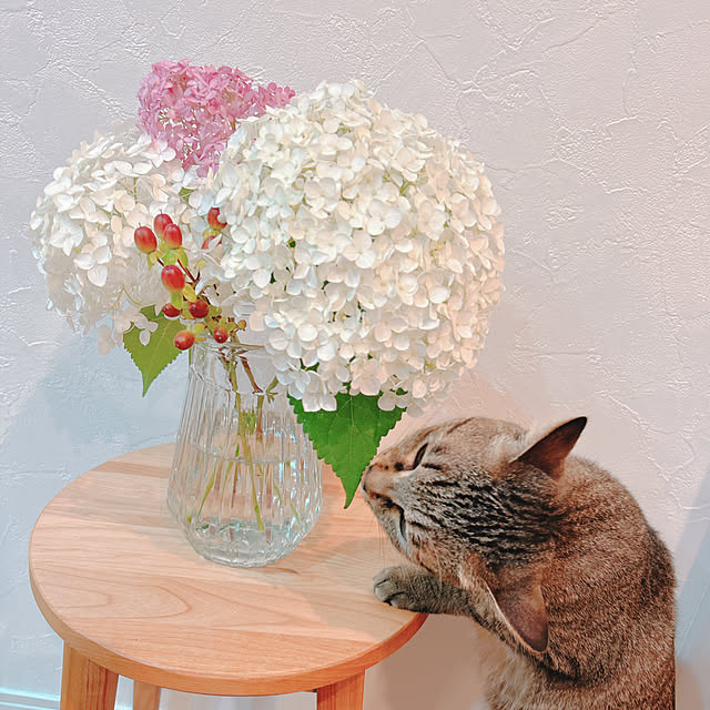 nami_imoさんの実例写真