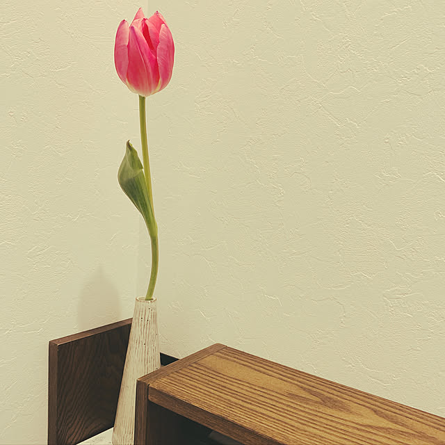 single.FNさんの実例写真