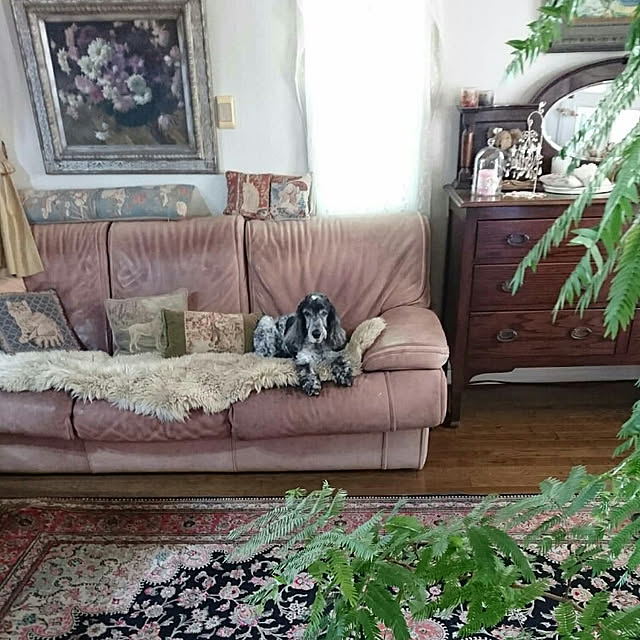 kimiさんの実例写真