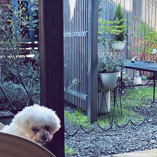 chacoさんの部屋
