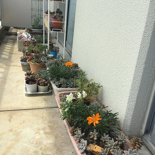 YUKIEさんの部屋