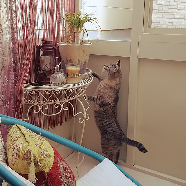 neoさんの実例写真