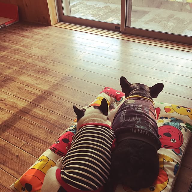 chicoさんの実例写真