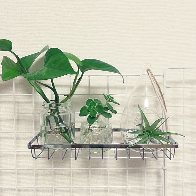 _room97_さんの実例写真