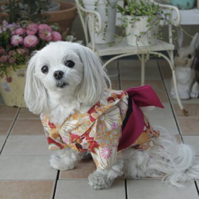 Sonokoさんの実例写真