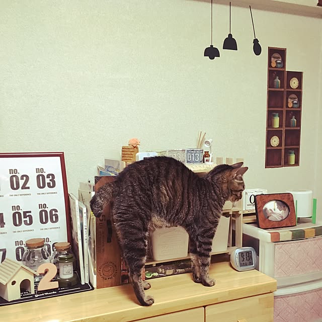 shigimiさんの実例写真