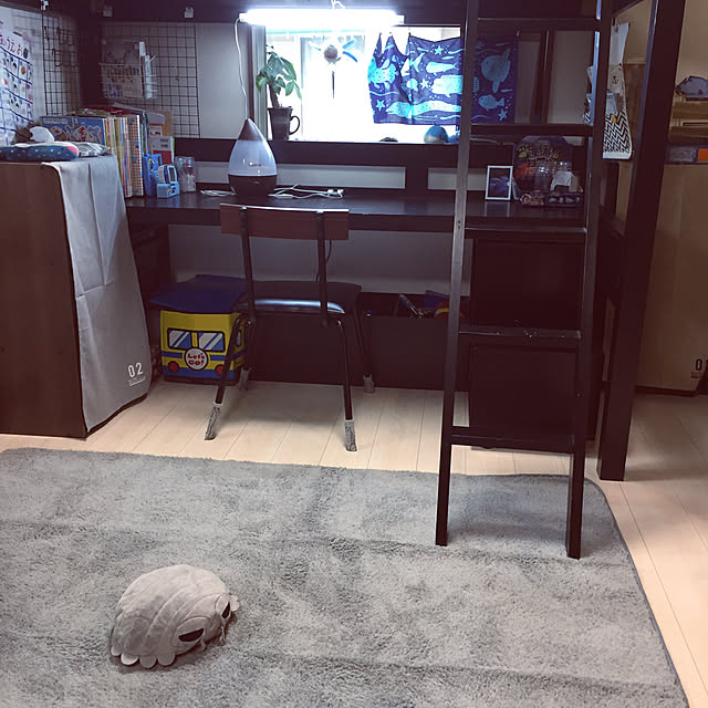 koroさんの実例写真