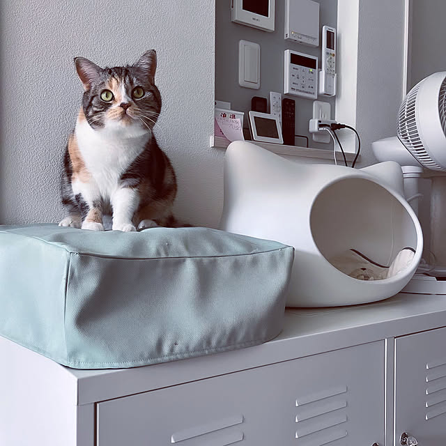mouseさんの実例写真